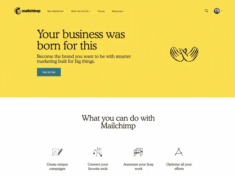 Mailchimp After