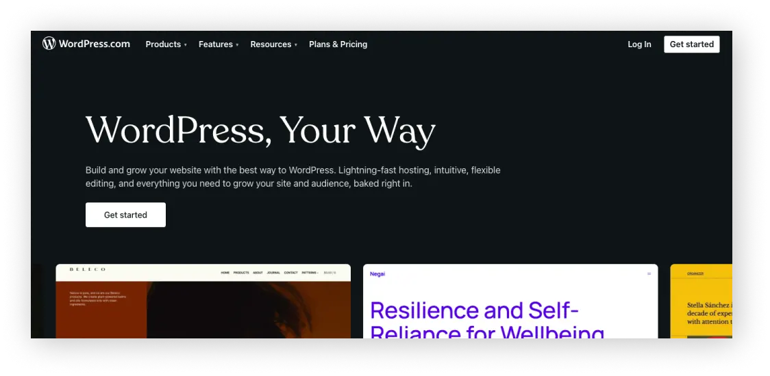 WordPress