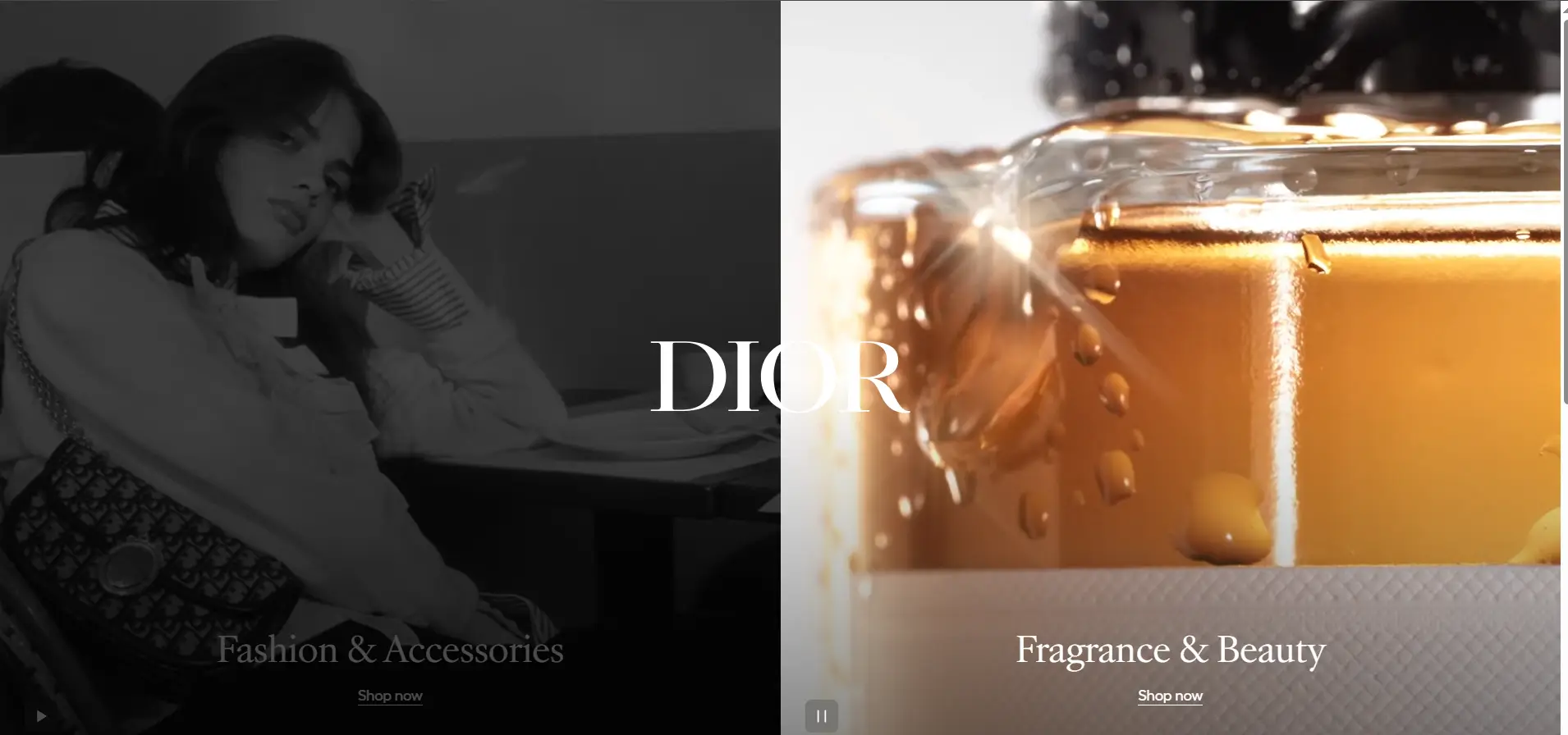 Big Brands Using Shopify - Christian Dior