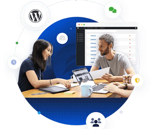 white label wordpress maintenance services