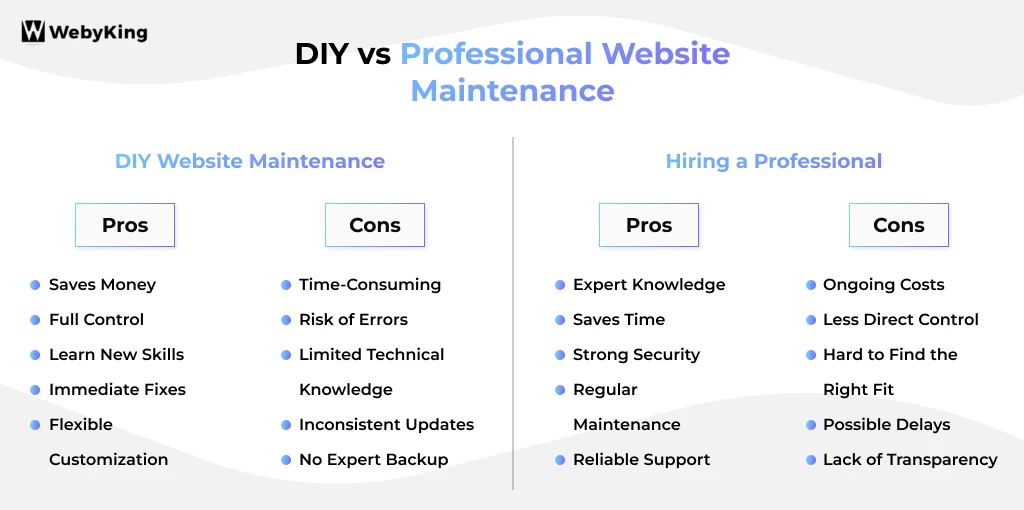 DIY vs Professional Website Maintenance - Pros and Cons