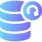 security monitoring backup management icon